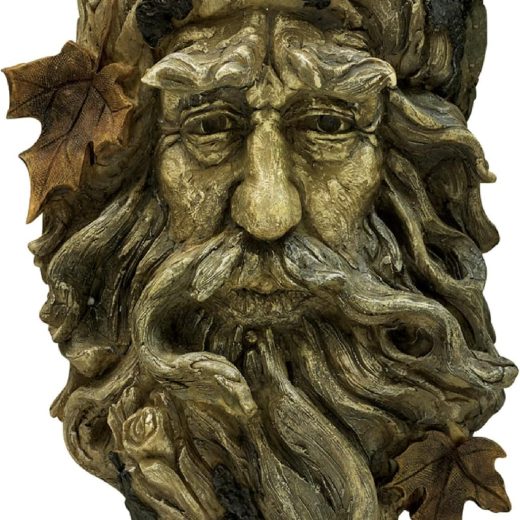 Old Man Tree Hanging Planter