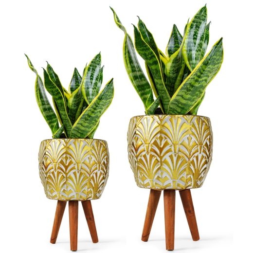Decorative Gardening Planter