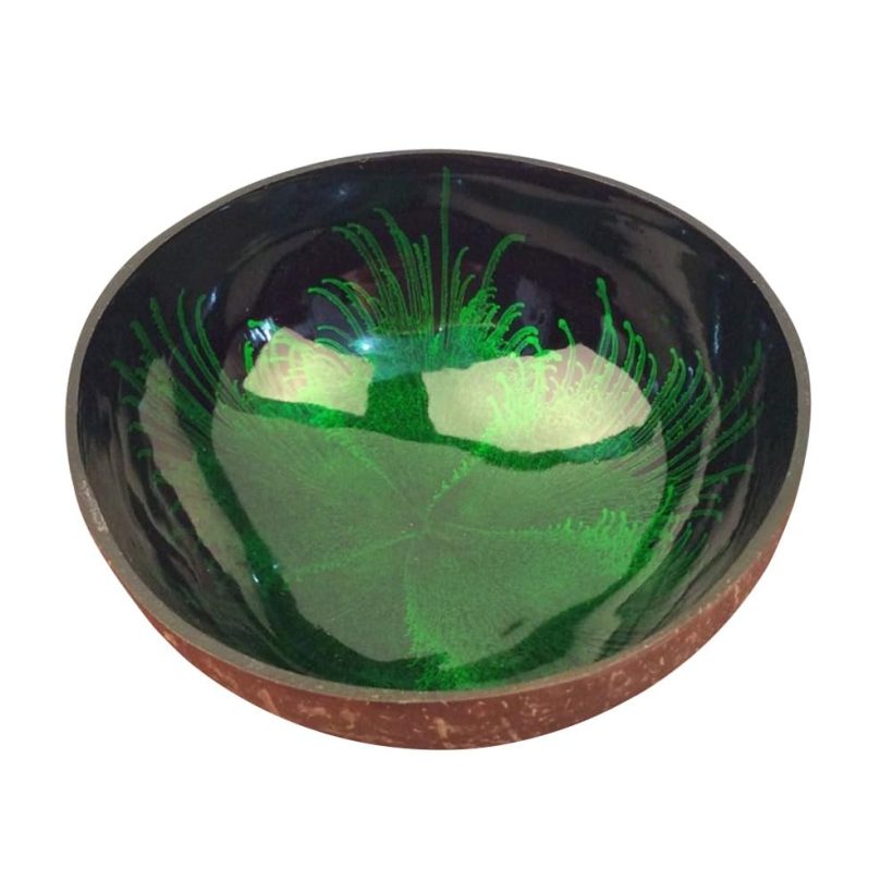 Handmade Coconut Shell Decorative Storage Bowl by Housoutil