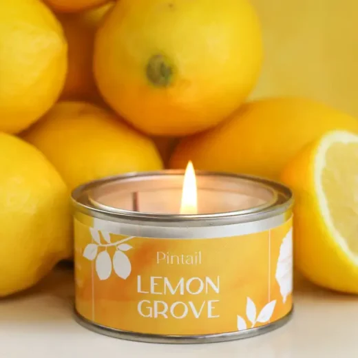 Lemon Grove Paint Pot Candle u2013 Pintail Candles Lemon grove paint pot candle by Pintail Candles