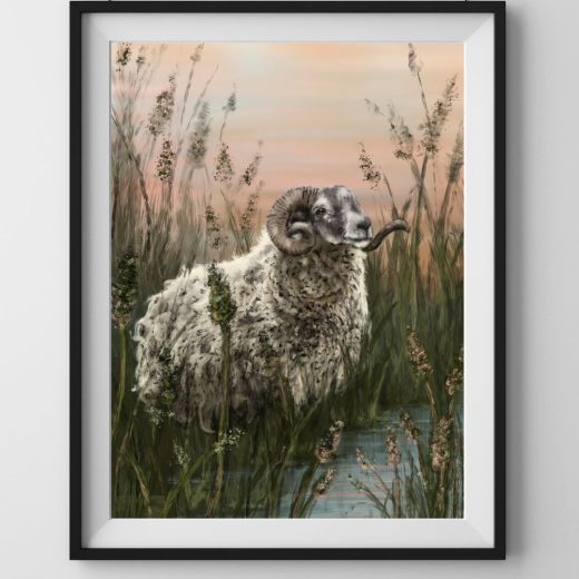 Ram Fine Art Print A3 Ram fine art print a3