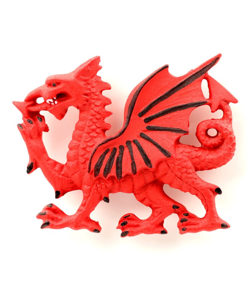 Welsh dragon fridge magnet by Puckator