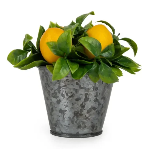 Lemon plant in tin pot 15cm u2013 Candlelight Home Lemon Plant in Tin Pot 15cm by Candlelight Home
