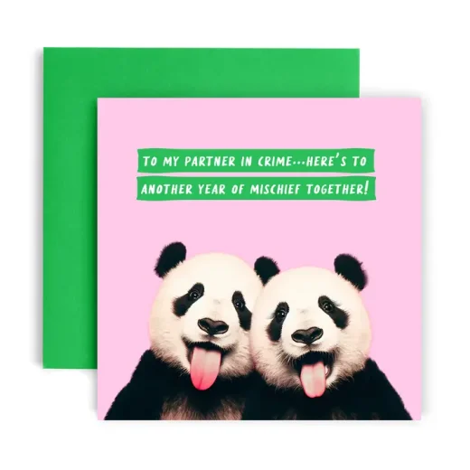 Partner in Crime Panda Birthday Card
