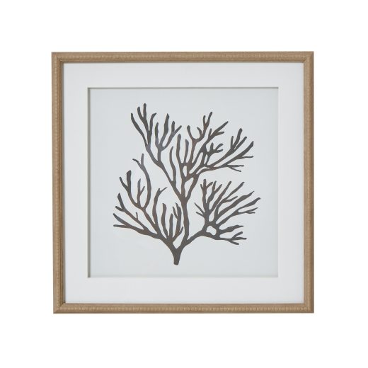 Reef coral art mounted in beaded frame Reef Coral Art Mounted in Beaded Frame