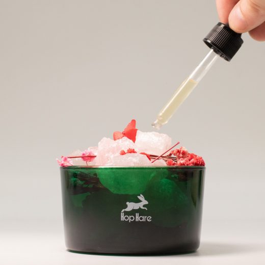 The lovers diffusing crystals & floral set u2013 Hop Hare The Lovers Diffusing Crystals & Floral Set by Hop Hare